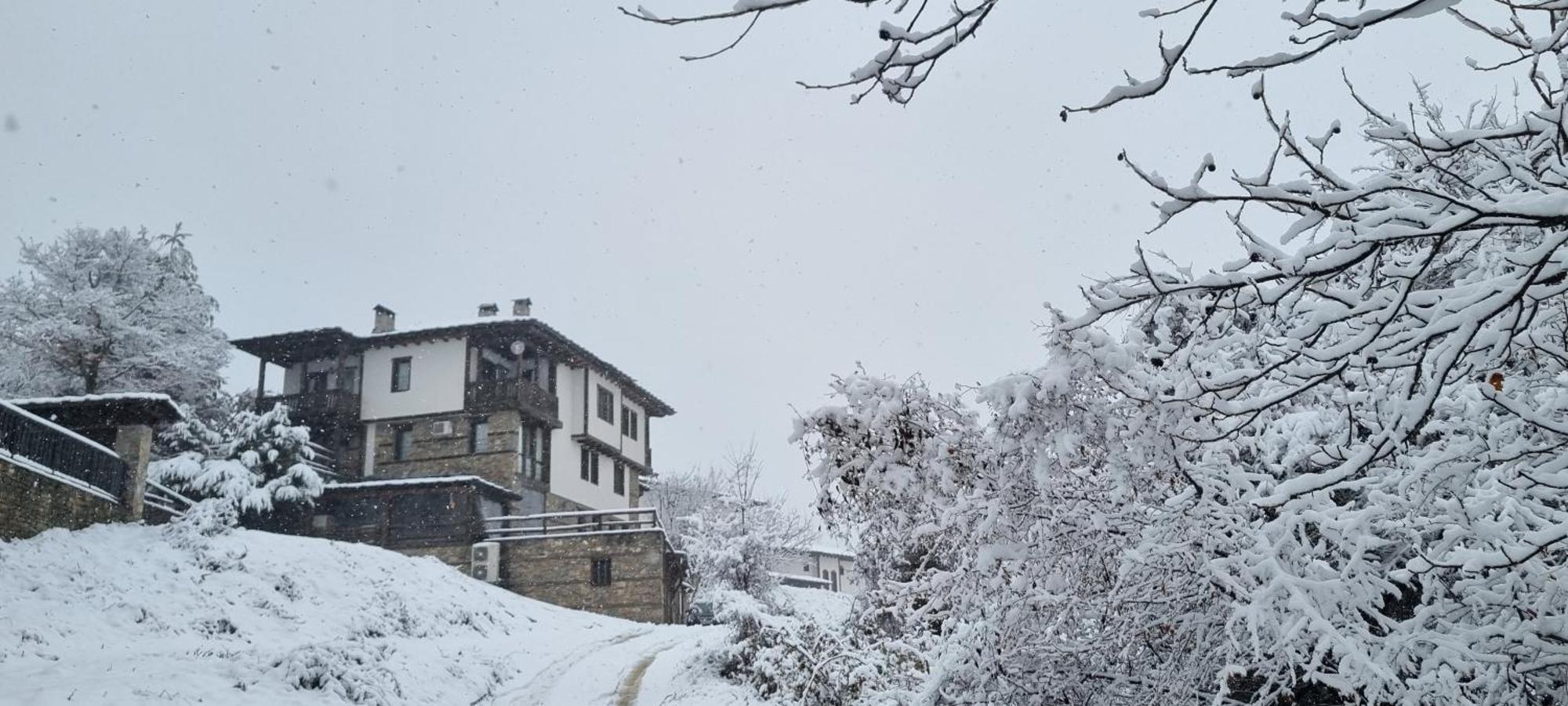 Панорама Хаус Лещен И Еко Къщи Дървена И Землянка מראה חיצוני תמונה